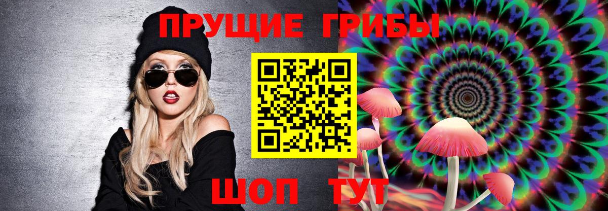 Псилоцибиновые грибы GOLDEN TEACHER Кузнецк