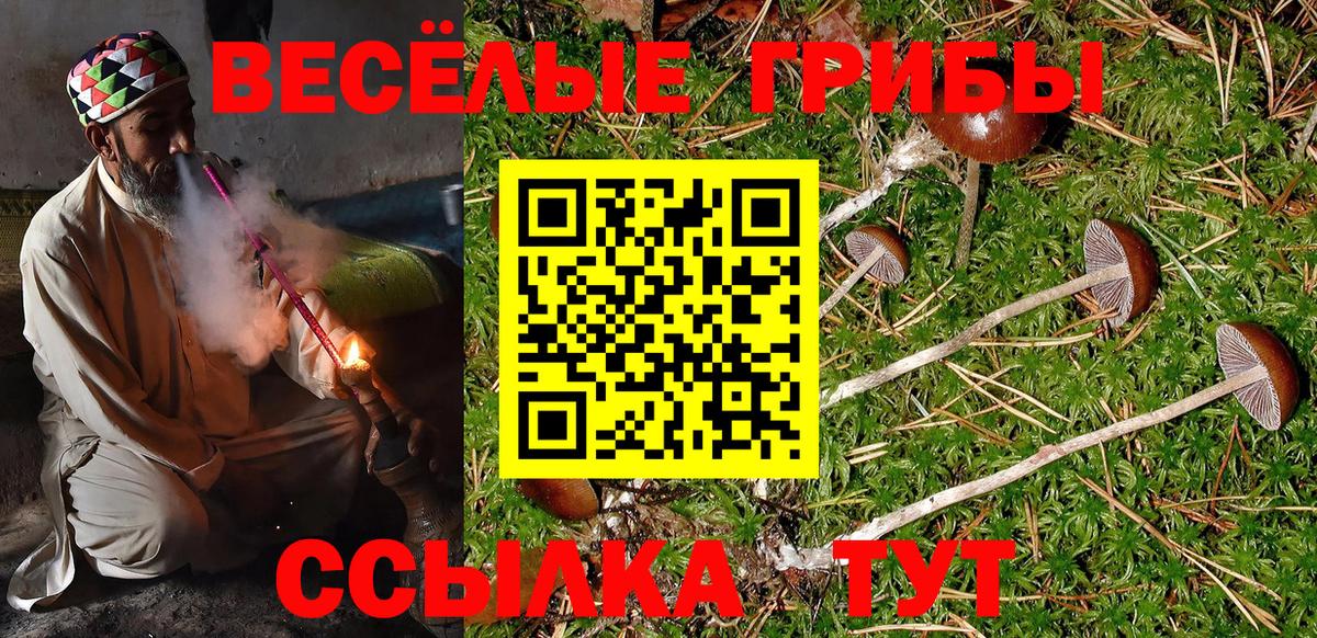Галлюциногенные грибы прущие грибы  Галлюциногенные грибы Magic Shrooms  сколько стоит  Кузнецк  Вход с VPN 